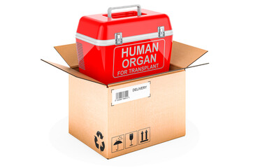 Portable fridge for transporting donor organs inside cardboard box, delivery concept. 3D rendering