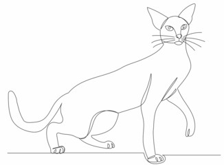 cat drawing by one continuous line