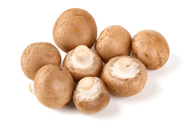 Royal brown champignons, isolated on white background.