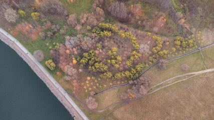 Autumn trees pattern number 3