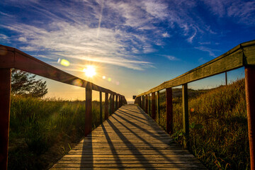 Fototapeta na wymiar wooden bridge in the morning