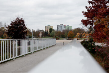 Piła Park na wyspie 2021