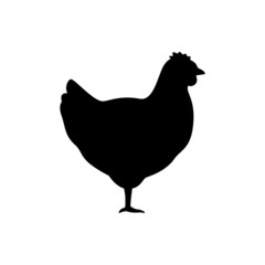Silhouette of chicken animal, black contour hen bird. Rooster. Household bird farm. Vector illustration