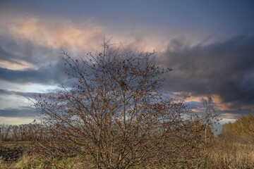 autumn nature of Sursky krai