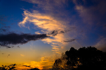 Fototapeta premium sunset over the field, pôr do sol sobre o campo