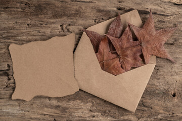 envelope and blank note paper on a wooden table decorated with dried autumn leaves