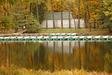 Pleasure boats are lined up on a pond with autumn leaves