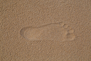Fototapeta na wymiar Tread in the sand on the beach