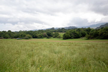 Green meadows by the mountains