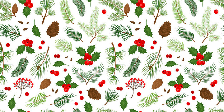 Christmas vector seamless pattern, evergreen plants background, tree, fir, pine and cone, holly berry, leaves branches, holiday winter nature print. Cartoon repeat illustration