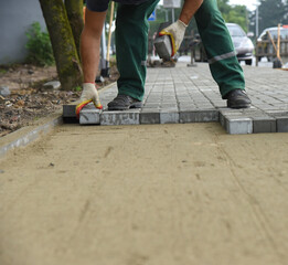 Close-up of the hands of a builder laying paving concrete tiles on sand, repair and replacement of...