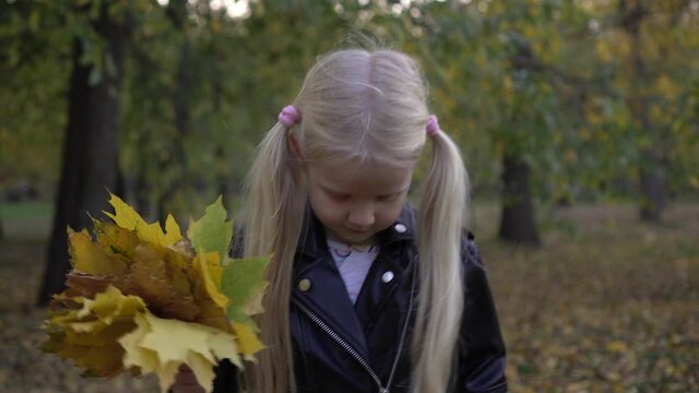 Small child in the autumn park. Beautiful girl with yellow maple leaves