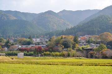 秋の京都大原　京都市
