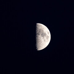 Detail of First Quarter Moon with Craters