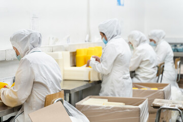 Four anonymous workers on white protective uniforms packaging yellow containers at industrial factory. Production line, quality control labor concepts