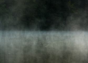 moody morning fog