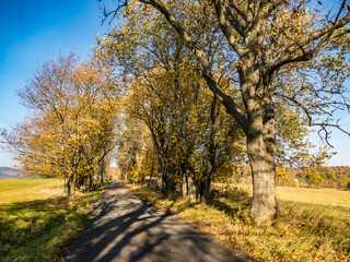 Fototapeta premium czech countryside landscape in autumn