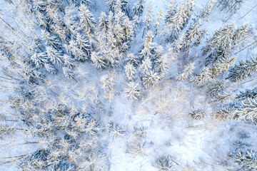 Drone shot flying on winter forest, aerial top-down view