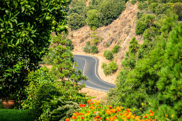 View of a fragment of a winding mountain road below from a green garden with trees, bushes, grass and red and yellow flowers.