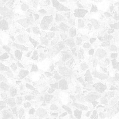 Cool seamless terrazzo composite flooring or marble monochrome old texture. Polished wall stone pattern beautiful for background. White and grey, grayscale backdrop with copy space, add text and etc.