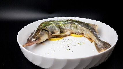 sturgeon fish on a white plate on a black background. cooking expensive beluga