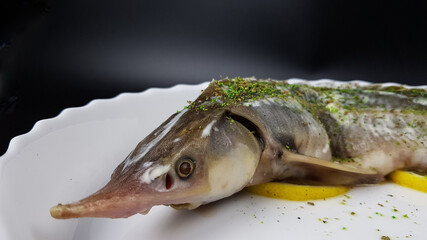 sturgeon fish on a white plate on a black background. cooking expensive beluga