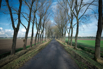 Curved country road with a row of trees on one side and a ditch on the other side. It is a cloudy in the Dutch autumn season now.