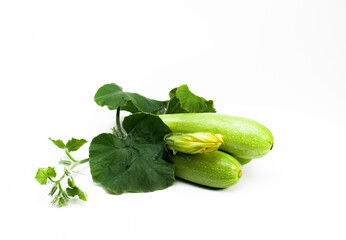 squash fresh zucchini with leaves horizontal shot