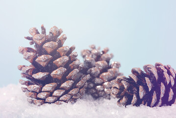 Pine cones on artificial snow. Christmas decoration.