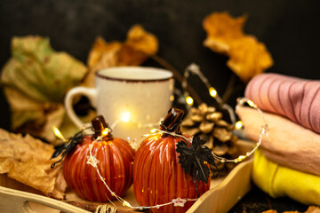 Cocoa with milk in a white mug, pumpkins, garlands, a pine cone are on a tray. Autumn yellow leaves. Knitted sweater in a pile. Autumn season. Warm home atmosphere. Cozy home.