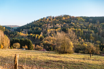 autumn forest in czech landscape