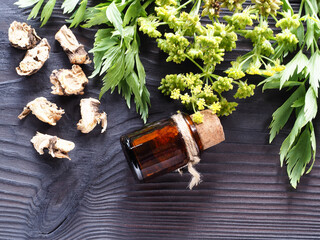Tincture and essential oil in bottles, leaves and flowers of lovage on a dark wooden table, flat layout. Medicinal plant levisticum for use in food, alternative herbal medicine and cosmetology