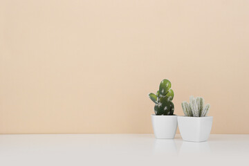 Cactus pots on pastel colored wall