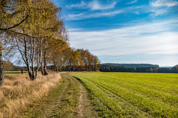 Fototapeta na wymiar czech countryside landscape in autumn