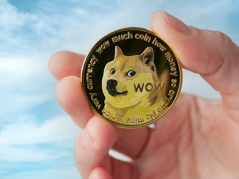Rostock, Germany - november 09, 2021: woman holding one dogecoin token, concept of investing and trading in doge coin