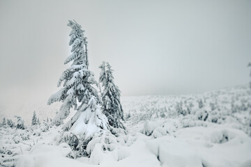Winter and Frozen Scenery in Polish Giant Mountains.