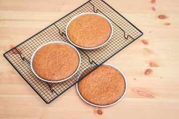 Homemade sponge cake layers inside baking pans