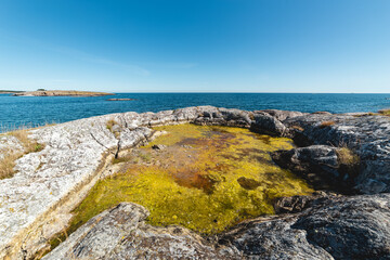 Fototapeta na wymiar Seaweed on rocks by the sea