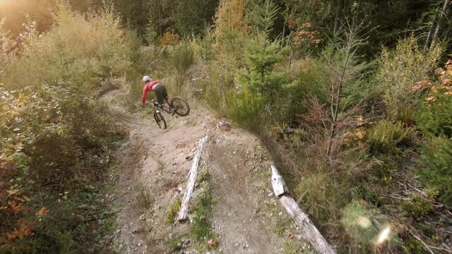 Drone Following Mountain Biker Off Dirt Jump with Fall Trees