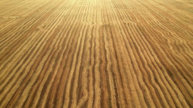 Fly over the field after harvest. Incredible landscapes and textures. The dug-up strips left by the combines form geometric lines stretching parallel to each other to the horizon