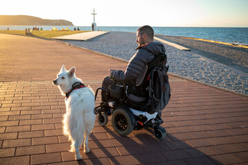 Service dog and man on wheelchair with disability at seaside.