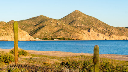 Playa Los Muertitos, Baja California Sur, México. 