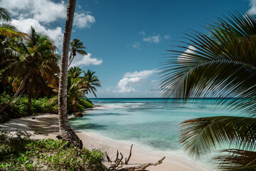 Amazing Caribbean beach at Saona Island, Dominican Republic