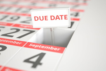 DUE DATE message on August 28 in a calendar, 3d rendering
