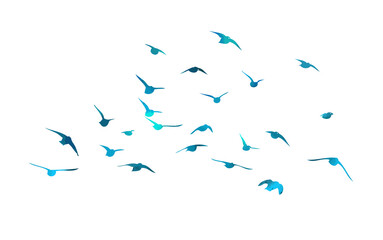 A flock of flying blue birds. Free birds. Vector illustration