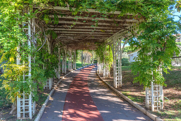 Allée sous une pergola recouverte de végétation