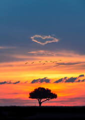 African Sunset With Heart in Clouds