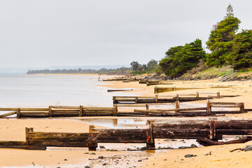 Fototapeta na wymiar Wooden sea groynes on the Erehwon Point Beach - Cowes, Victoria, Australia