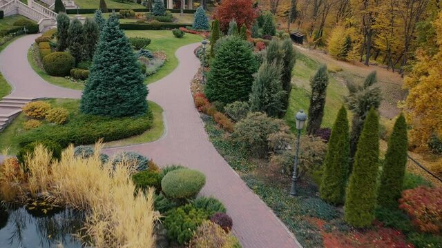 Evergreen plants in the park English style garden. Autumn garden.