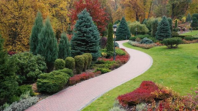 Evergreen plants in the park English style garden. Autumn garden.